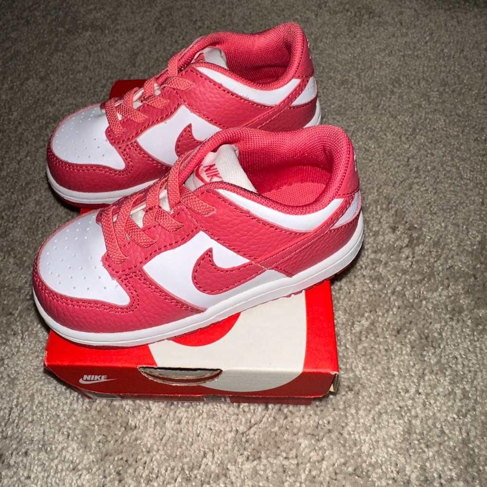 Toddler Nike Dunk Low